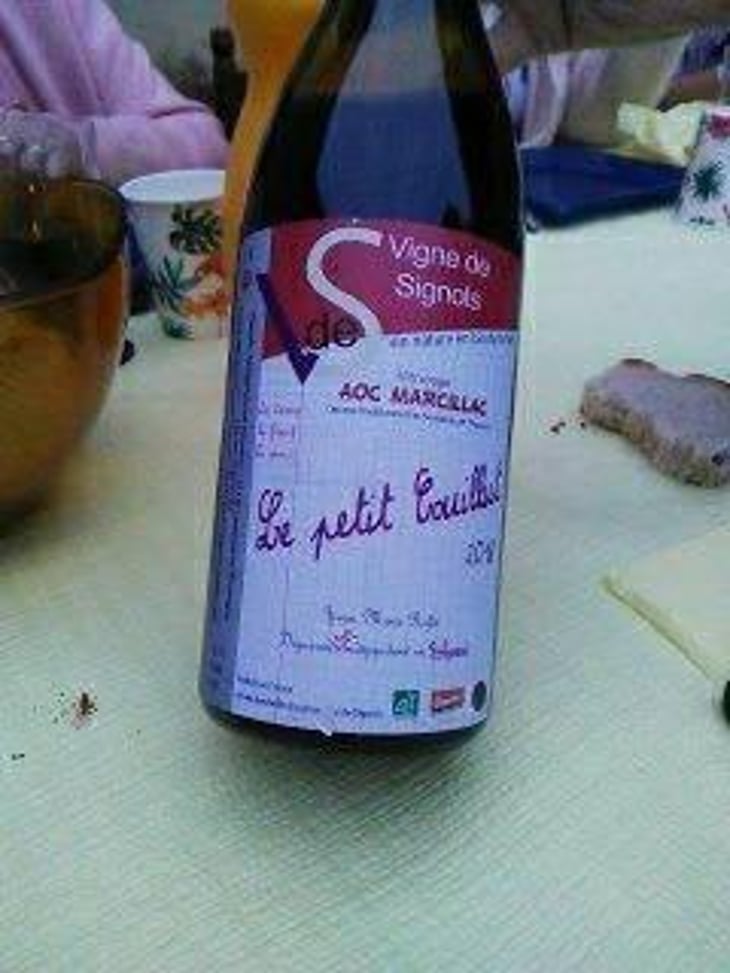 Le Petit Couillut - Vigne De Signols - Yvan-Marie Ruffié 