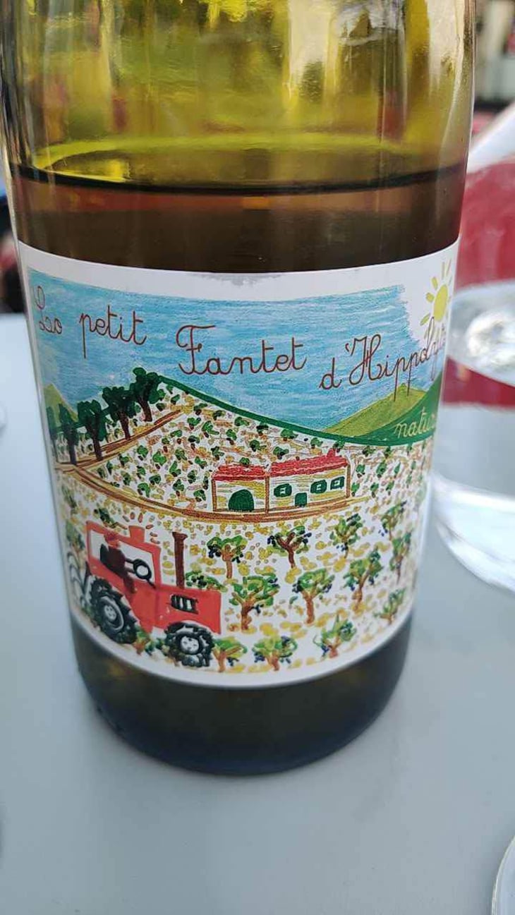 Le Petit Fantet D’Hippolyte - Château Ollieux Romanis - Pierre Bories & Yannick Desert 