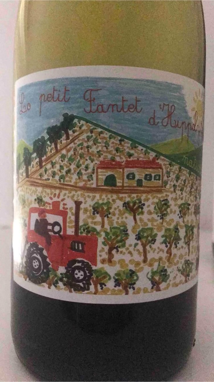 Le Petit Fantet D’Hippolyte - Château Ollieux Romanis - Pierre Bories & Yannick Desert 