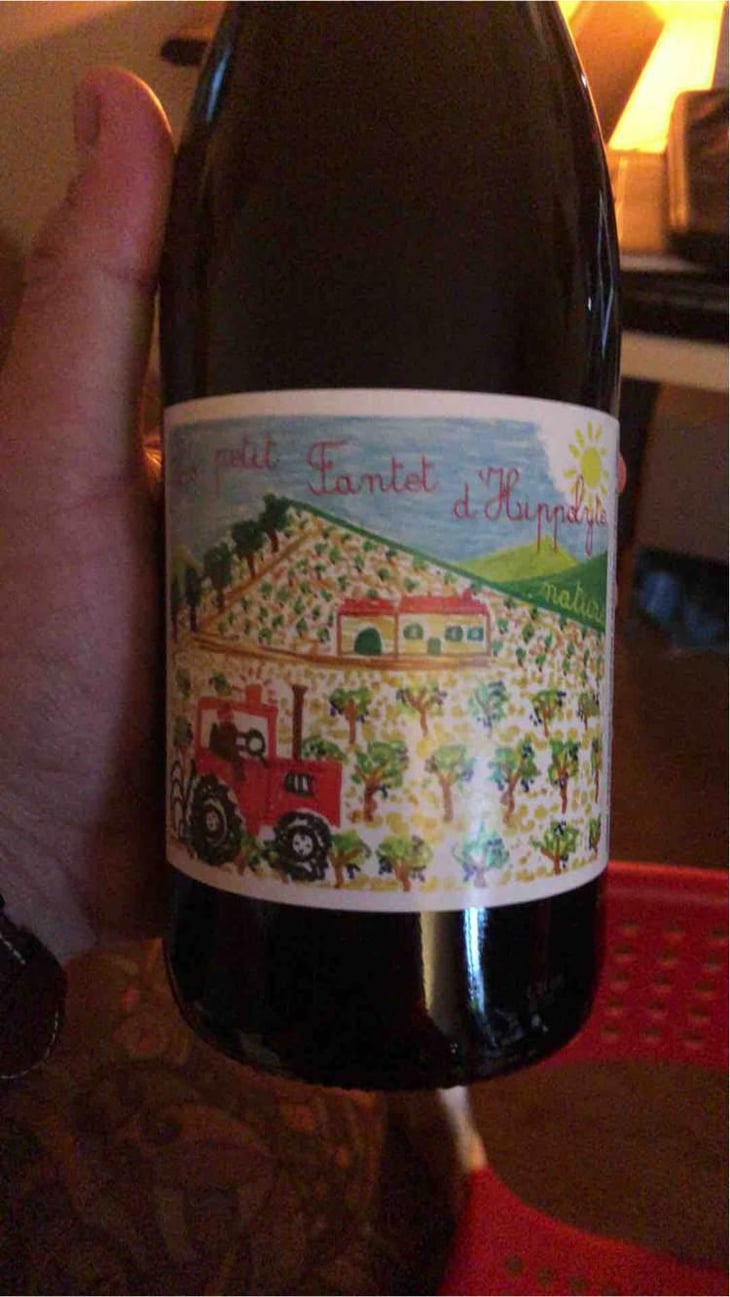 Le Petit Fantet D’Hippolyte - Château Ollieux Romanis - Pierre Bories & Yannick Desert 