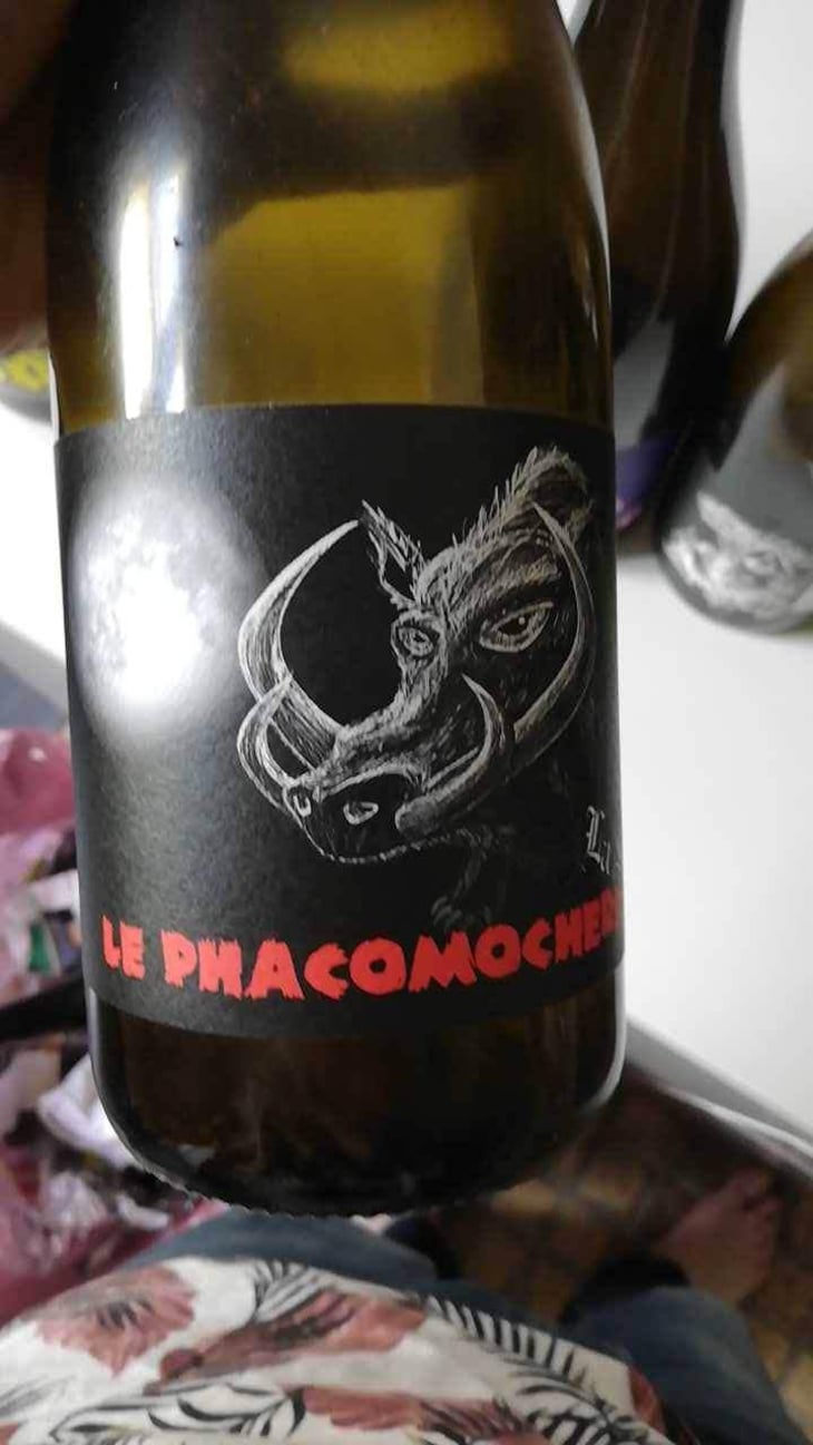 Le Phacomochère - La Sorga - Antony Tortul 