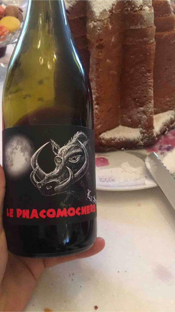 Le Phacomochère - La Sorga - Antony Tortul 