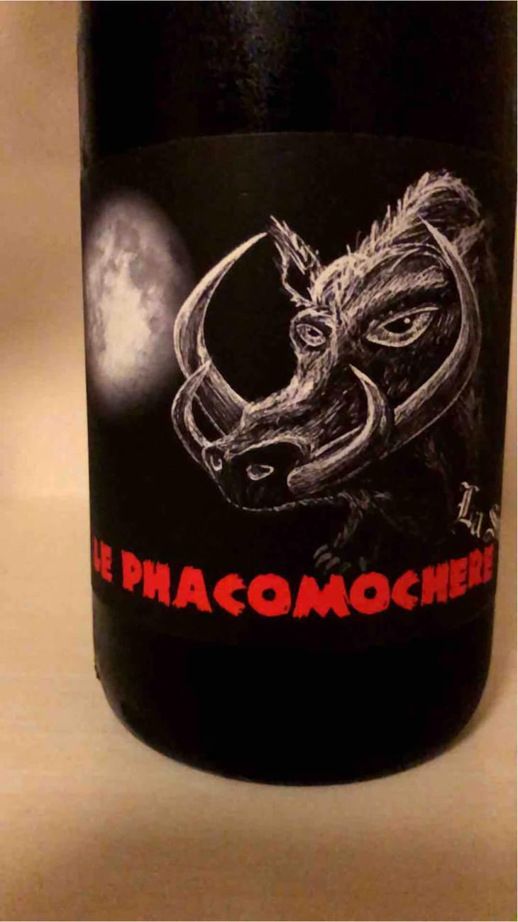Le Phacomochère - La Sorga - Antony Tortul 