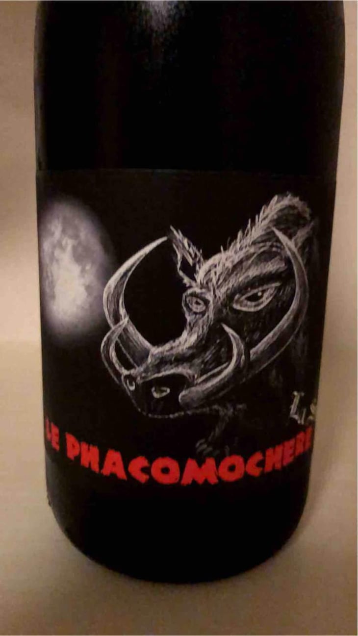 Le Phacomochère - La Sorga - Antony Tortul 
