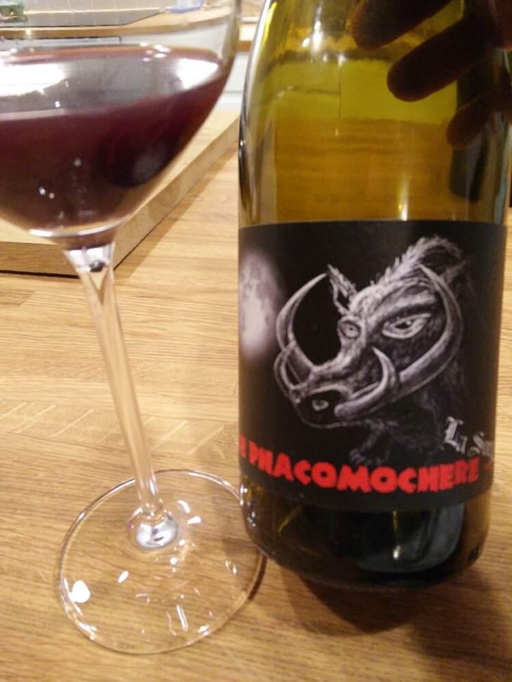 Le Phacomochère - La Sorga - Antony Tortul 