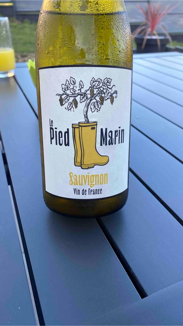 Le pied marin, sauvignon - Domaine de la Cotelleraie - Famille Vallée -2021