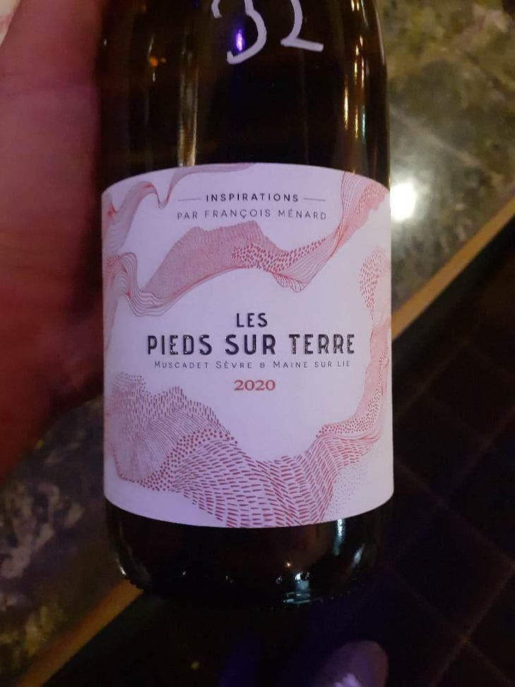 Le pieds Sur Terre - Menard Gaborit - François Ménard -2020