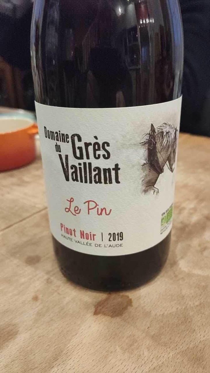 Le Pin - Domaine Grès Vaillant - Aigline de CAUSANS & Laurent MAFFEIS -2019