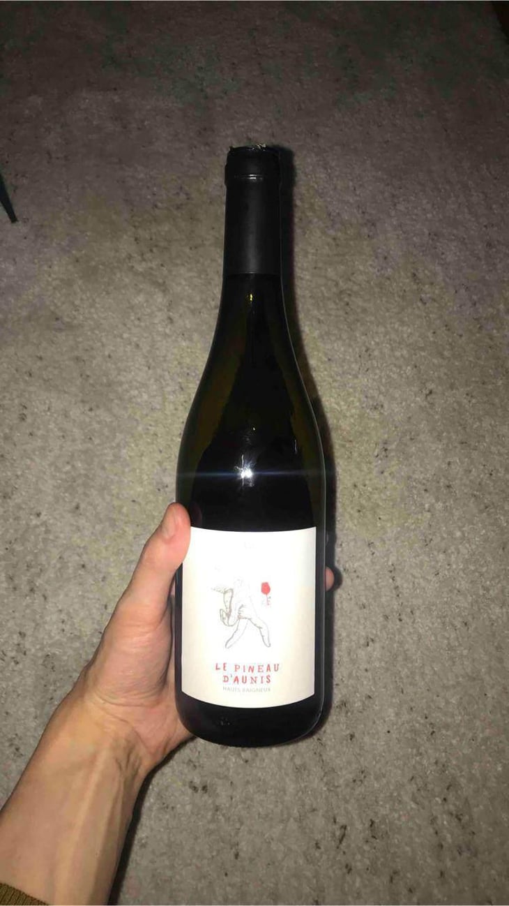 Le Pineau d’Aunis - Les Hauts Baigneux - Nicolas Grosbois & Philippe Mesnier 