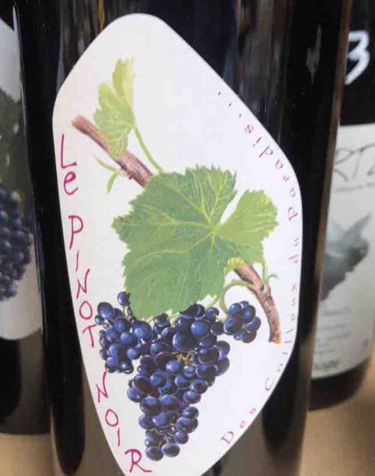 Le Pinot Noir - Les Cailloux du Paradis - Claude & Etienne Courtois 