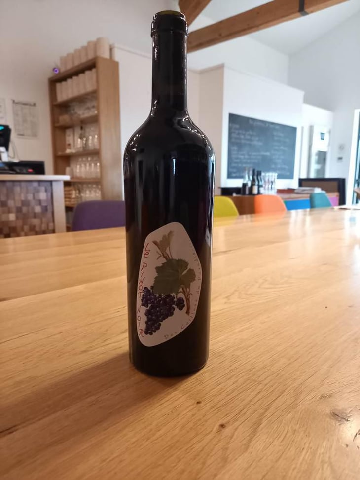 Le Pinot Noir - Les Cailloux du Paradis - Claude & Etienne Courtois 