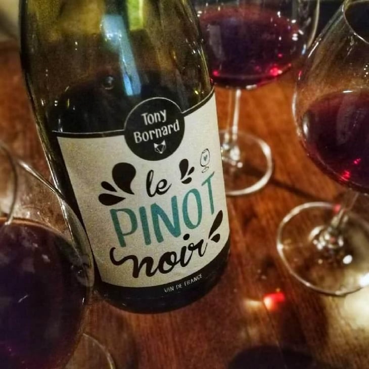 Le Pinot Noir - Domaine Bornard - Tony Bornard 