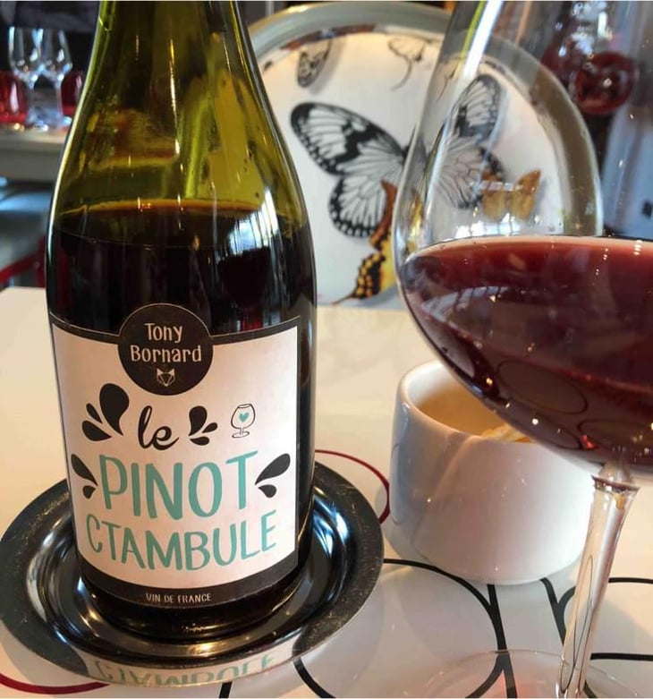 Le Pinotctambule - Domaine Bornard - Tony Bornard 