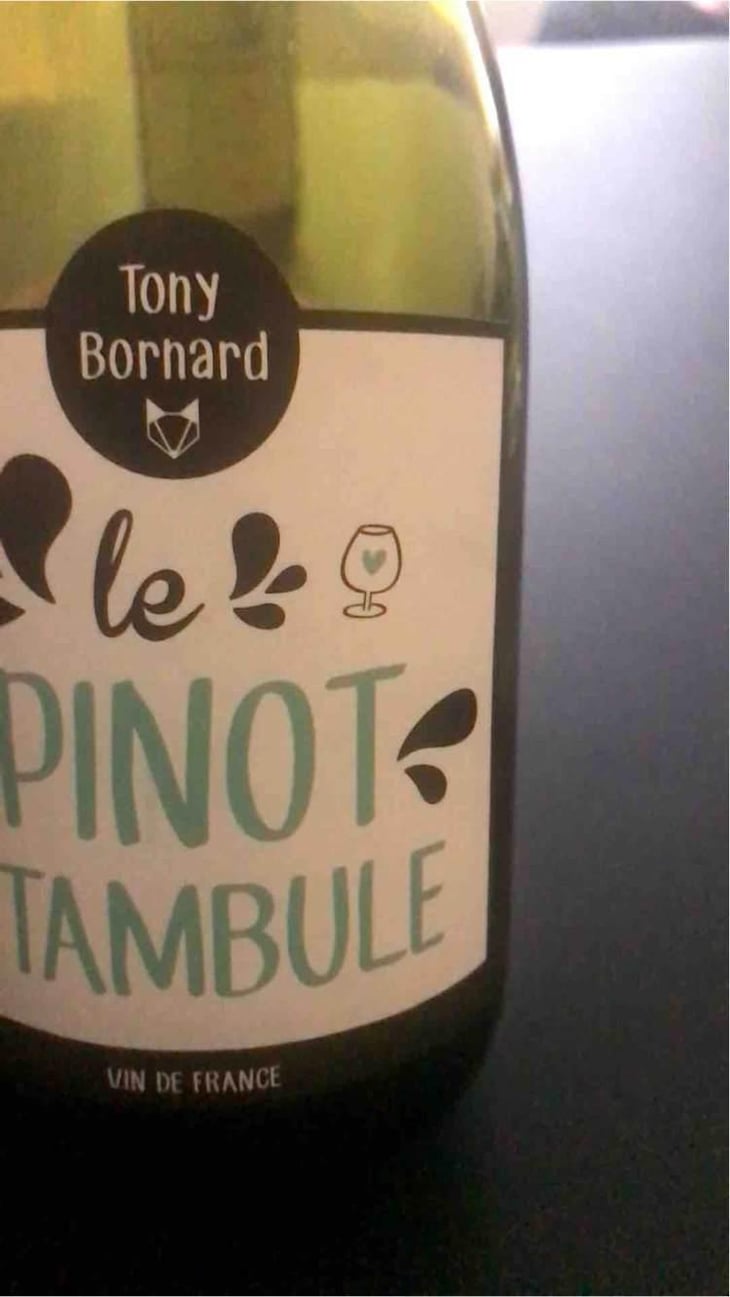 Le Pinotctambule - Domaine Bornard - Tony Bornard 