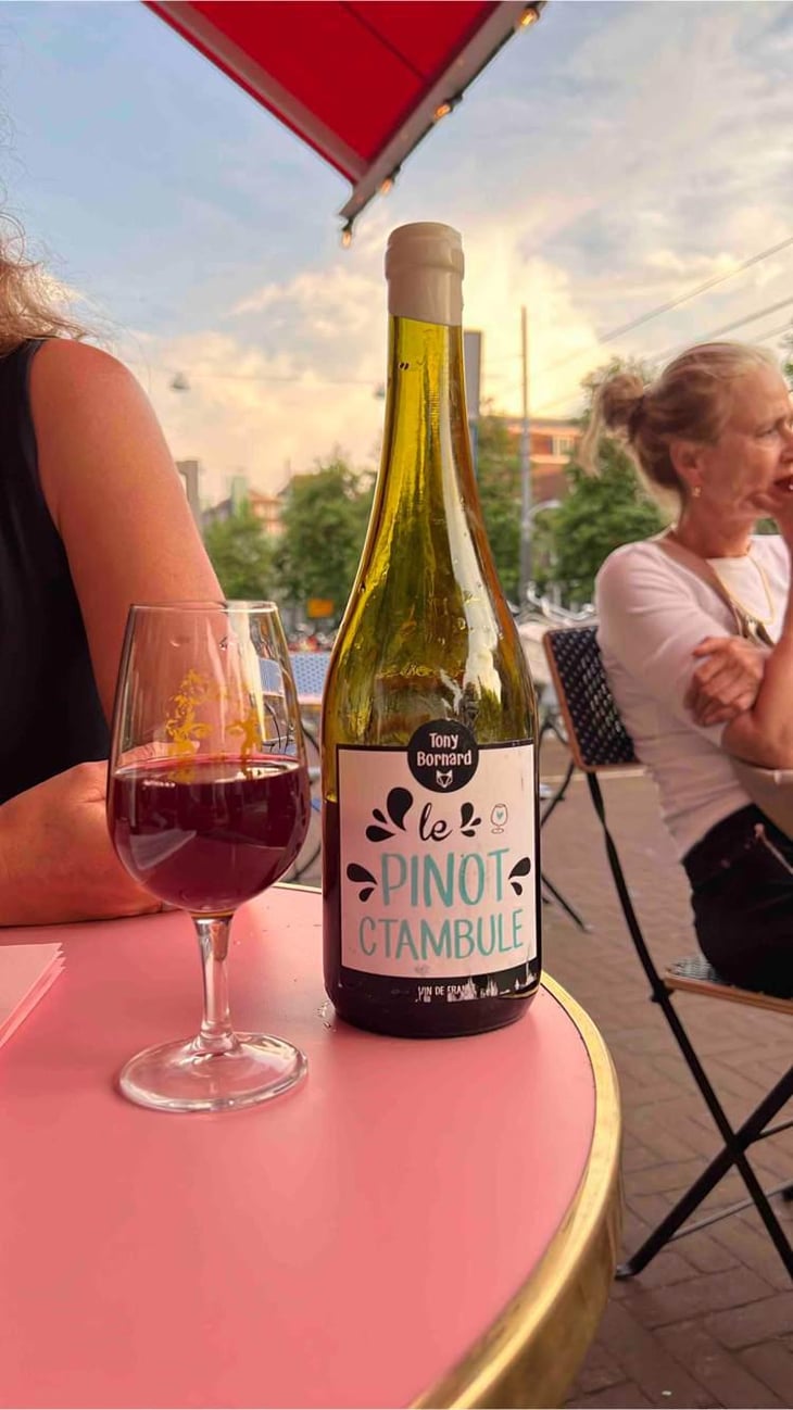 Le Pinotctambule - Domaine Bornard - Tony Bornard 