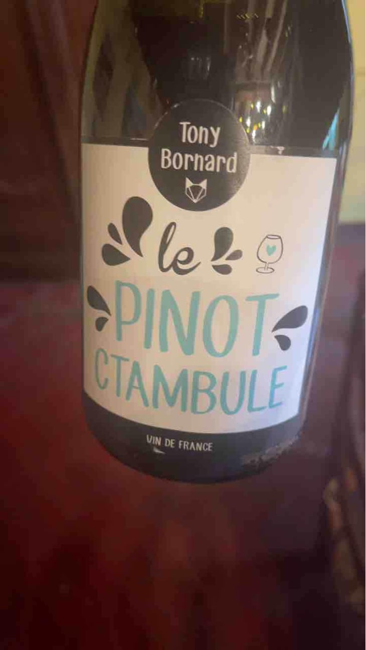 Le Pinotctambule - Domaine Bornard - Tony Bornard 