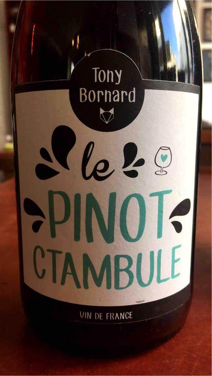 Le Pinotctambule - Domaine Bornard - Tony Bornard 