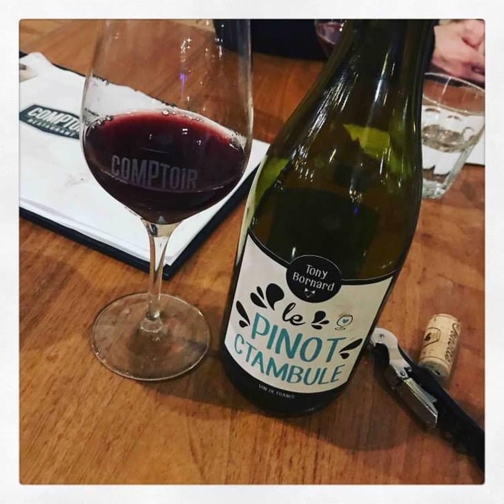 Le Pinotctambule - Domaine Bornard - Tony Bornard 