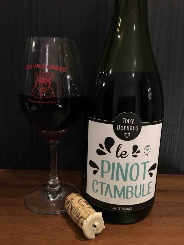 Le Pinotctambule - Domaine Bornard - Tony Bornard 