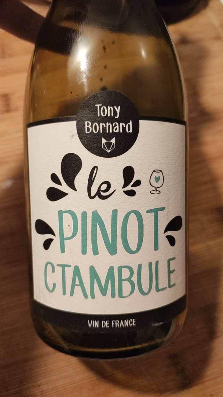 Le Pinotctambule - Domaine Bornard - Tony Bornard 