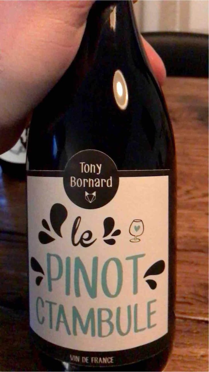 Le Pinotctambule - Domaine Bornard - Tony Bornard 