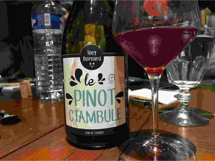 Le Pinotctambule - Domaine Bornard - Tony Bornard 