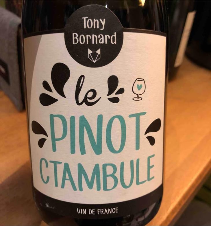 Le Pinotctambule - Domaine Bornard - Tony Bornard 