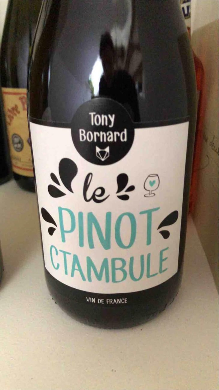 Le Pinotctambule - Domaine Bornard - Tony Bornard 