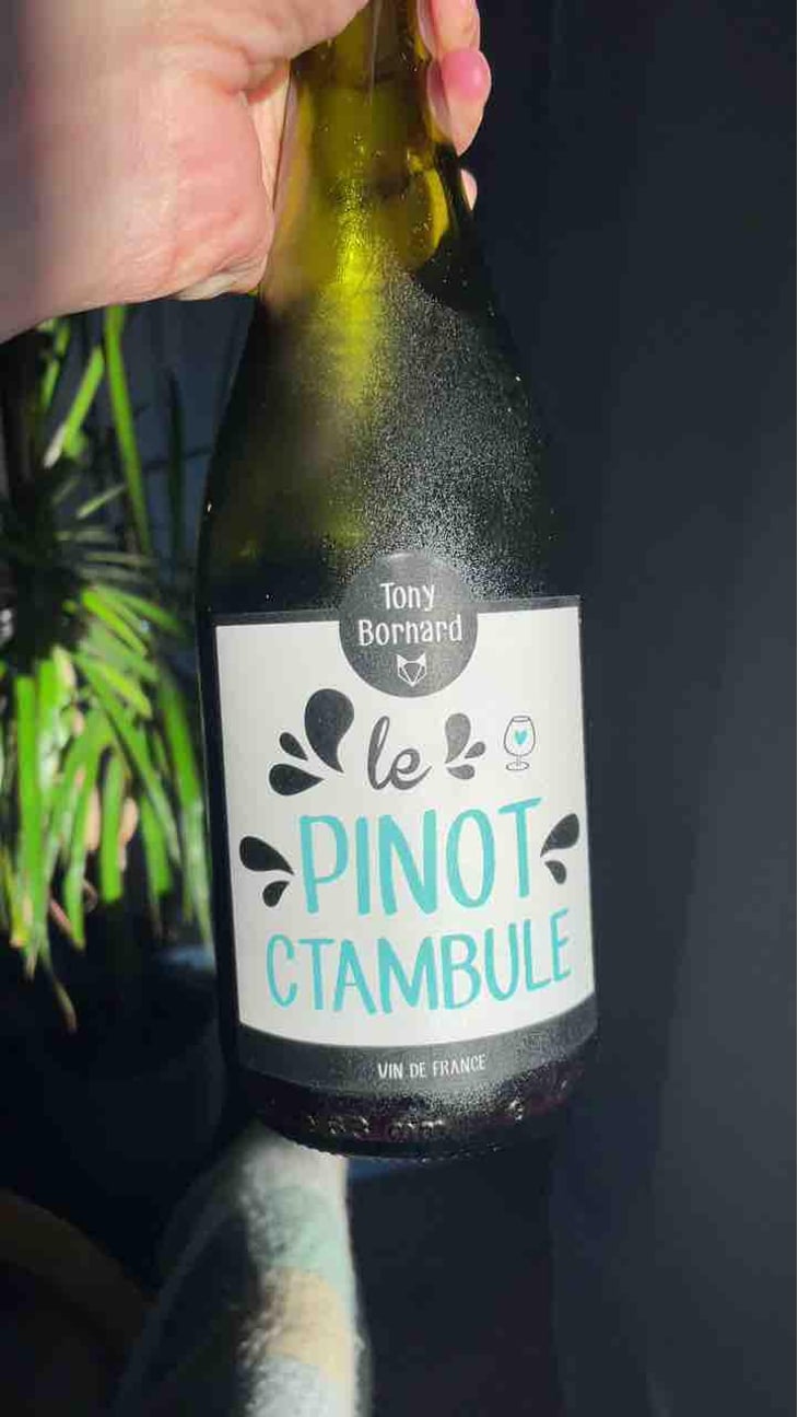 Le Pinotctambule - Domaine Bornard - Tony Bornard 