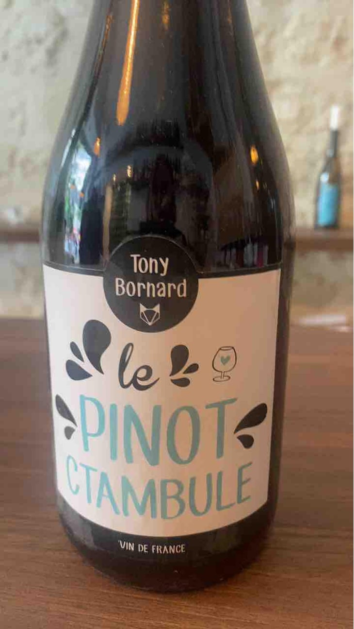 Le Pinotctambule - Domaine Bornard - Tony Bornard 