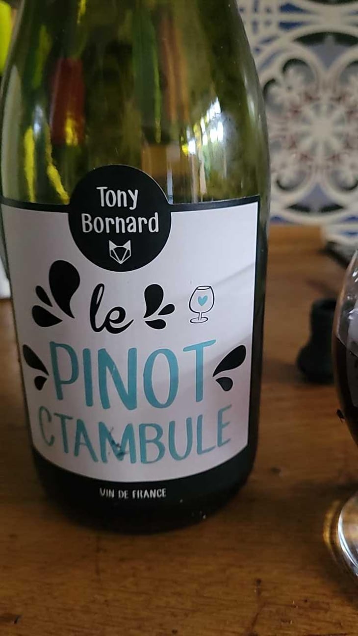 Le Pinotctambule - Domaine Bornard - Tony Bornard 