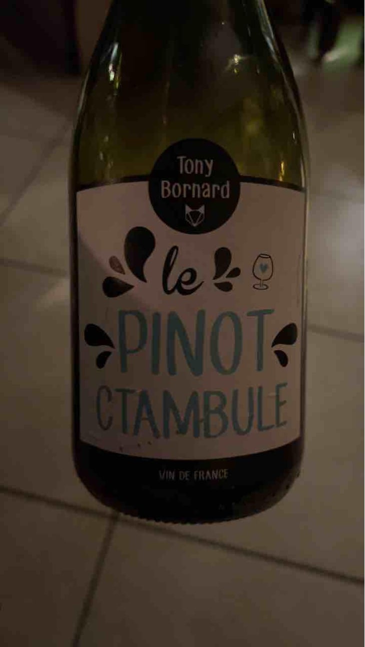 Le Pinotctambule - Domaine Bornard - Tony Bornard 