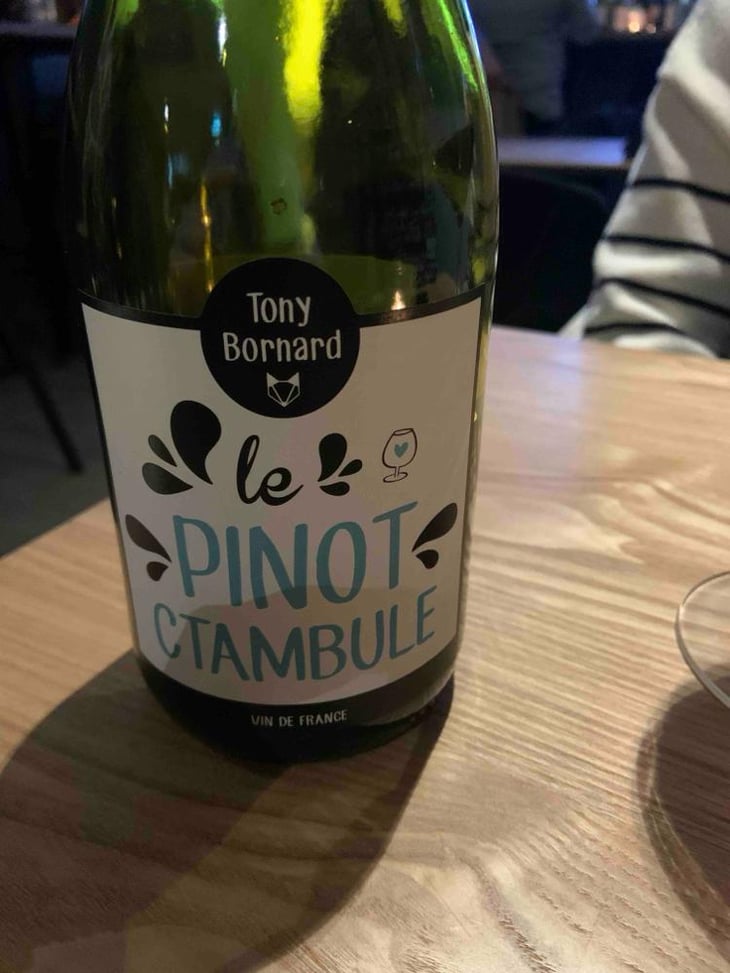 Le Pinotctambule - Domaine Bornard - Tony Bornard 
