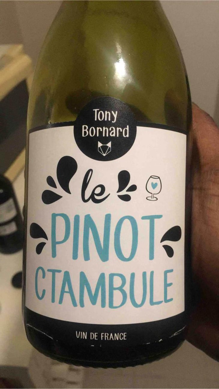 Le Pinotctambule - Domaine Bornard - Tony Bornard 