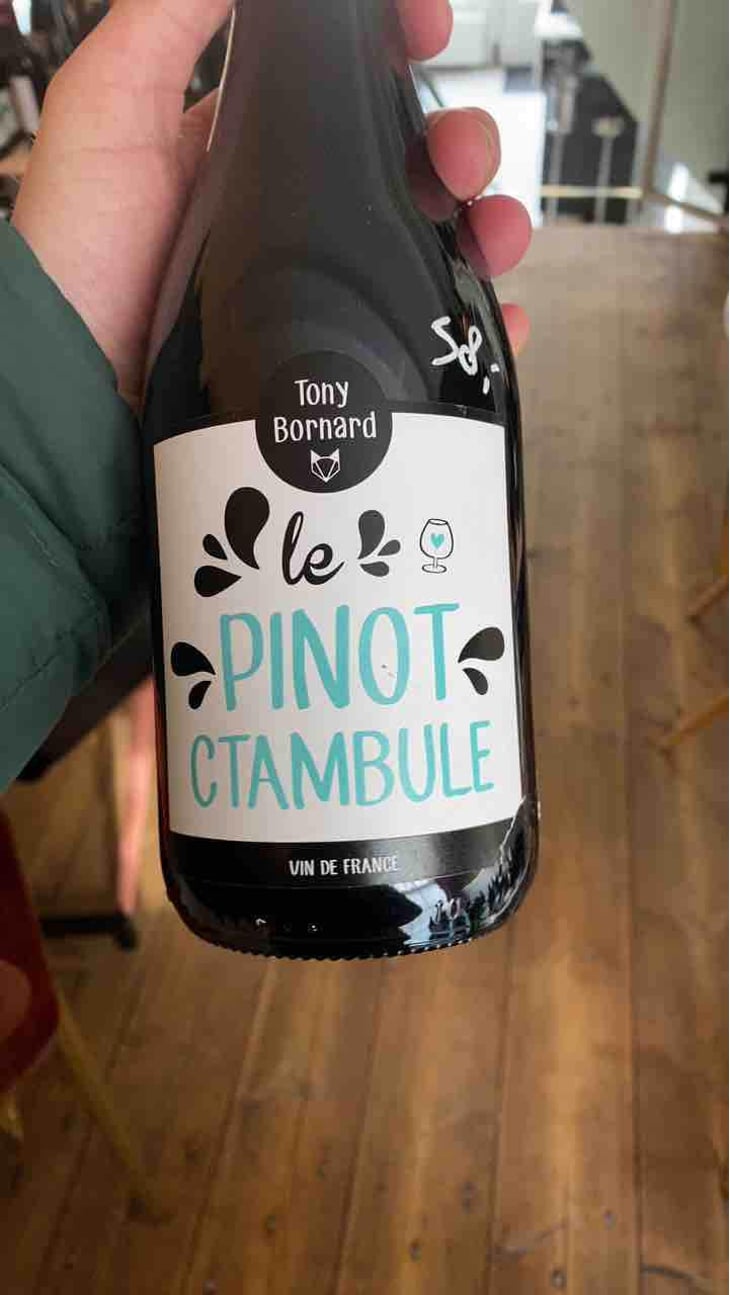 Le Pinotctambule - Domaine Bornard - Tony Bornard 