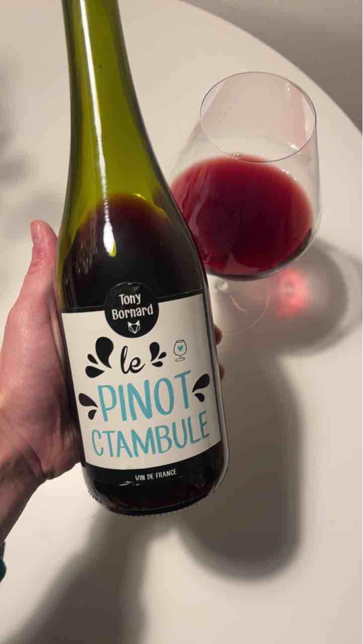 Le Pinotctambule - Domaine Bornard - Tony Bornard 