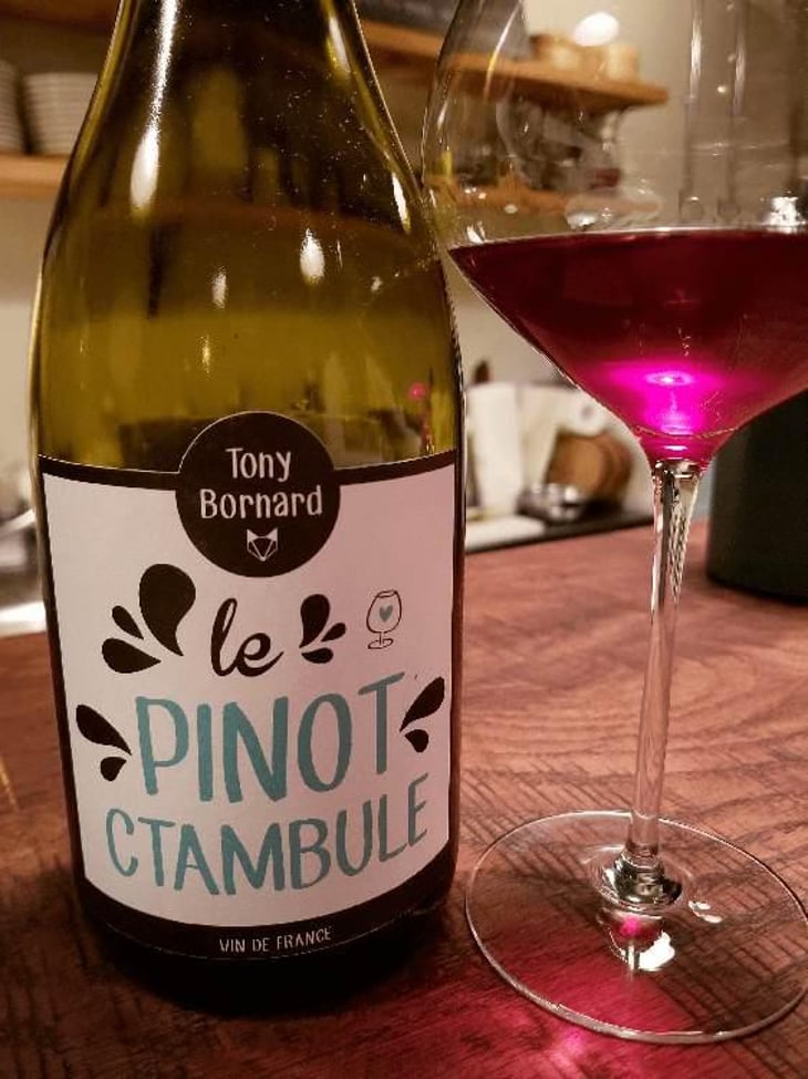 Le Pinotctambule - Domaine Bornard - Tony Bornard 