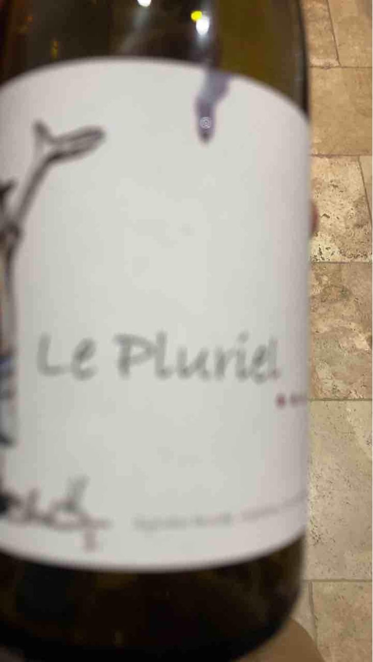 Le Pluriel Blanc - Clos Des Boutes - Sylvain Boutée 