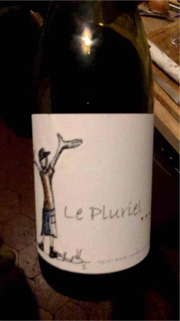 Le Pluriel Blanc - Clos Des Boutes - Sylvain Boutée 