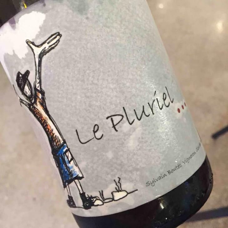 Le Pluriel Rouge - Clos Des Boutes - Sylvain Boutée 