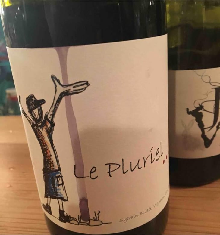 Le Pluriel Rouge - Clos Des Boutes - Sylvain Boutée 