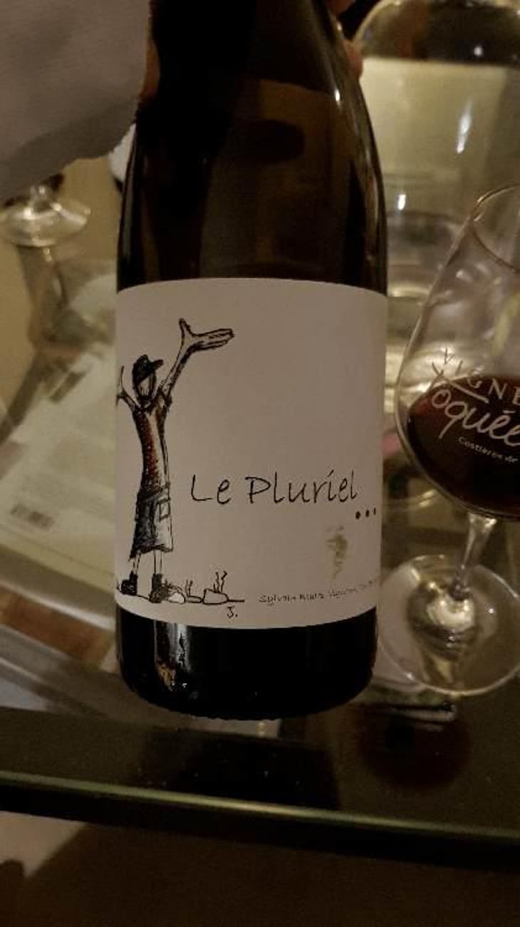 Le Pluriel Rouge - Clos Des Boutes - Sylvain Boutée 