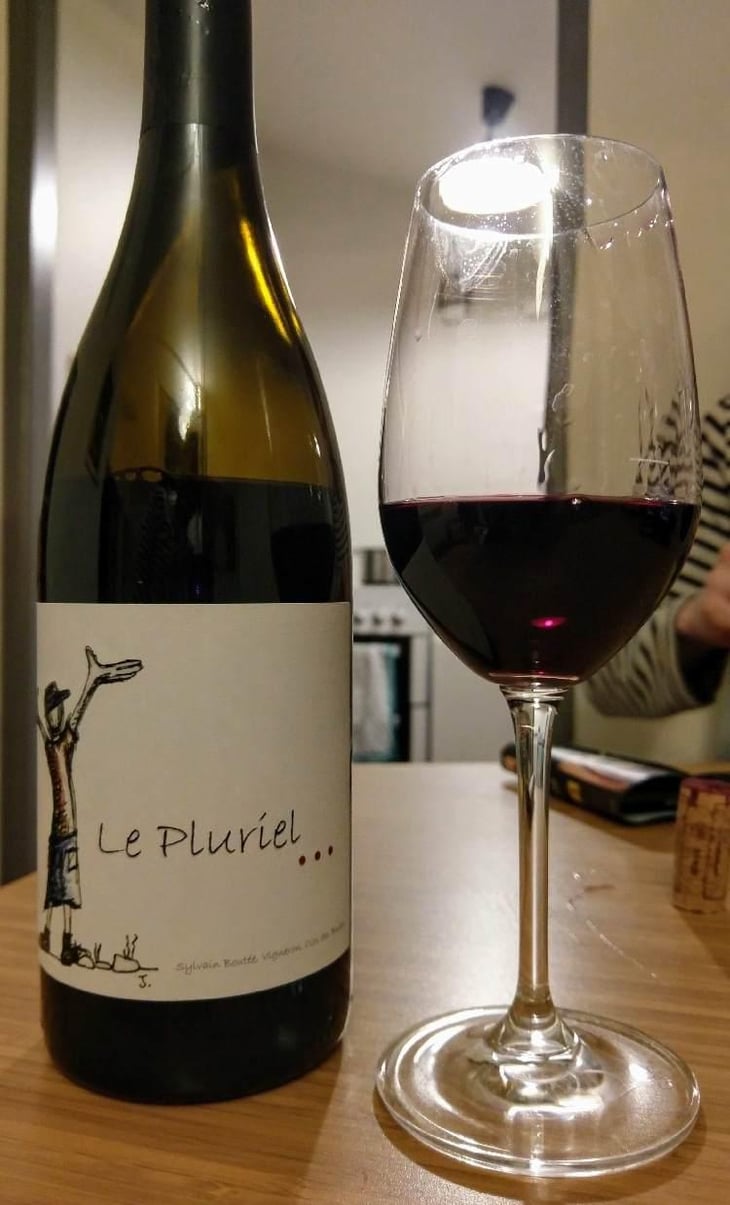 Le Pluriel Rouge - Clos Des Boutes - Sylvain Boutée 
