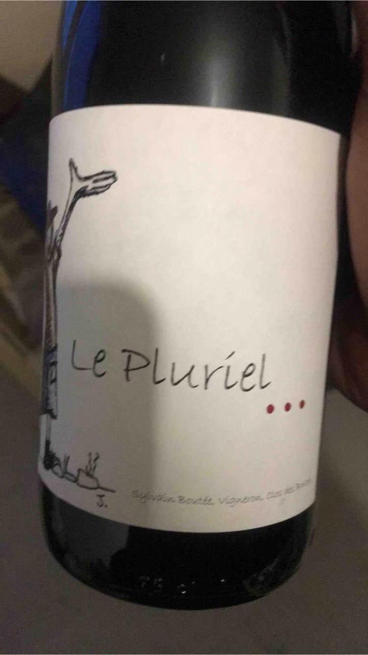 Le Pluriel Rouge - Clos Des Boutes - Sylvain Boutée 