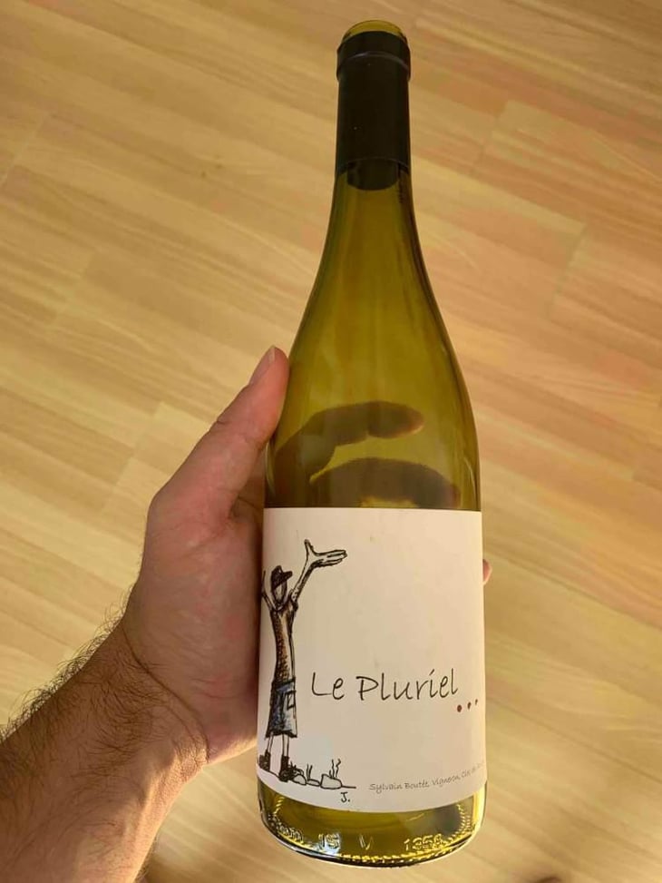 Le Pluriel Rouge - Clos Des Boutes - Sylvain Boutée 