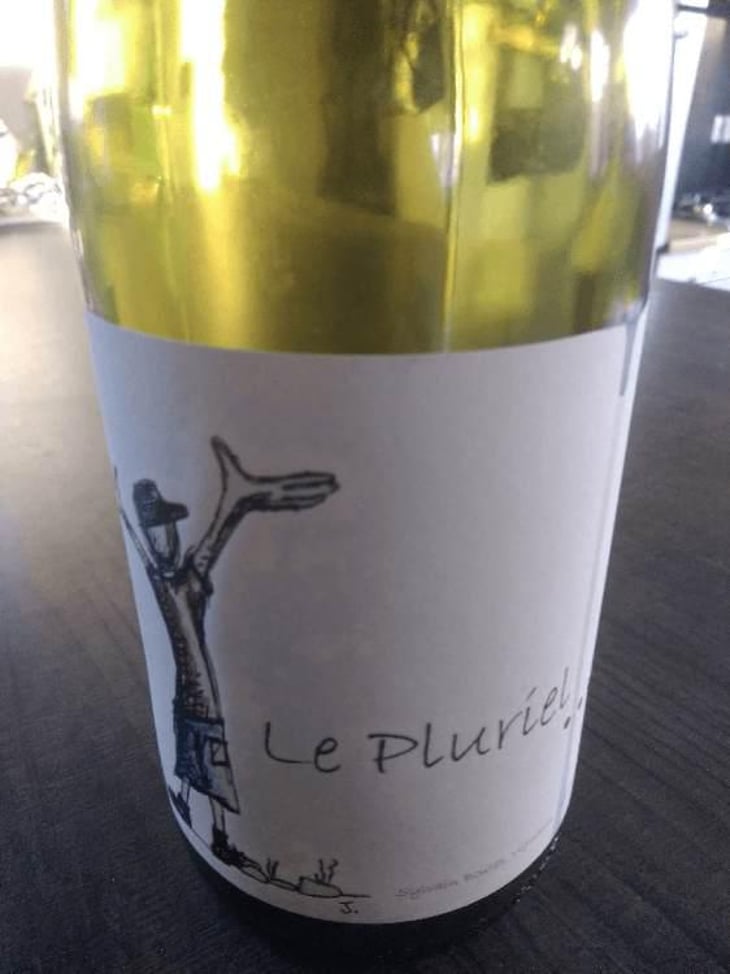 Le Pluriel Rouge - Clos Des Boutes - Sylvain Boutée 
