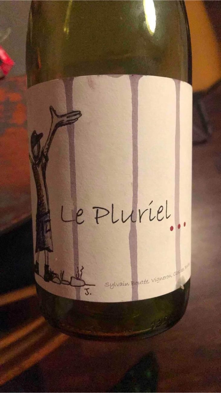 Le Pluriel Rouge - Clos Des Boutes - Sylvain Boutée 