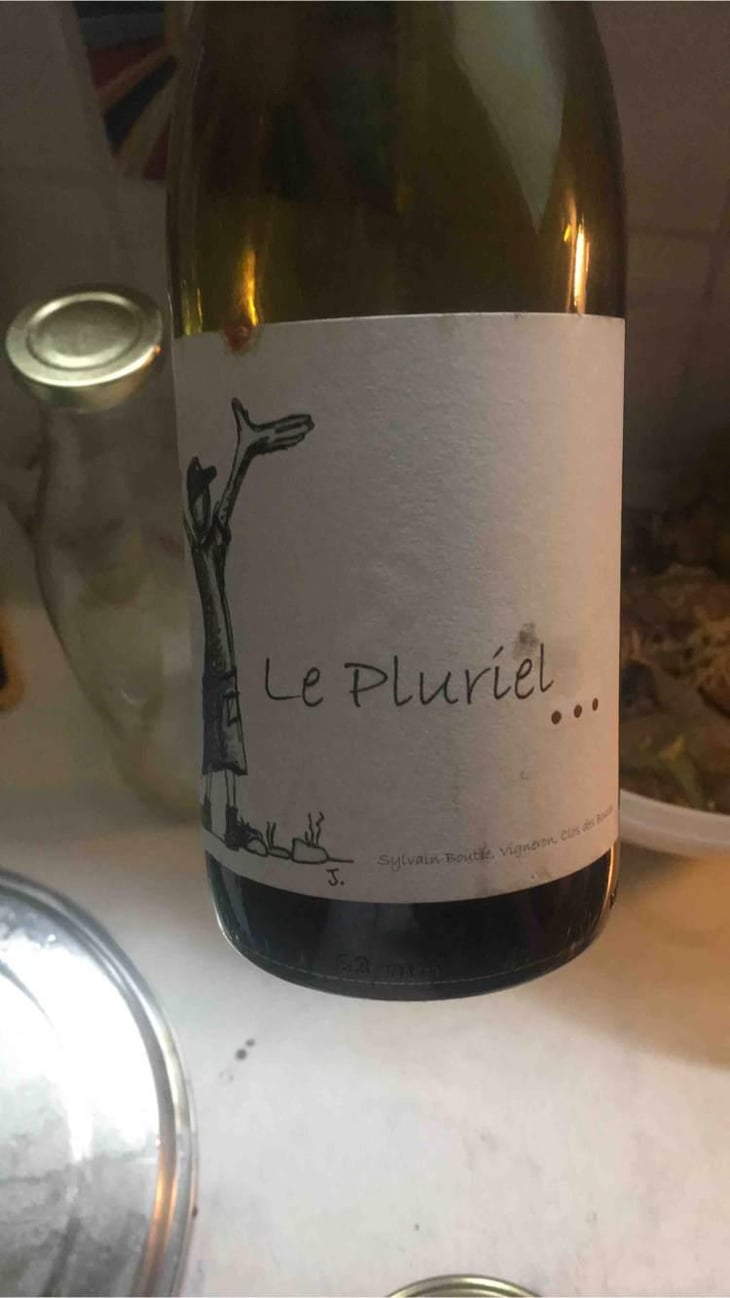 Le Pluriel Rouge - Clos Des Boutes - Sylvain Boutée 