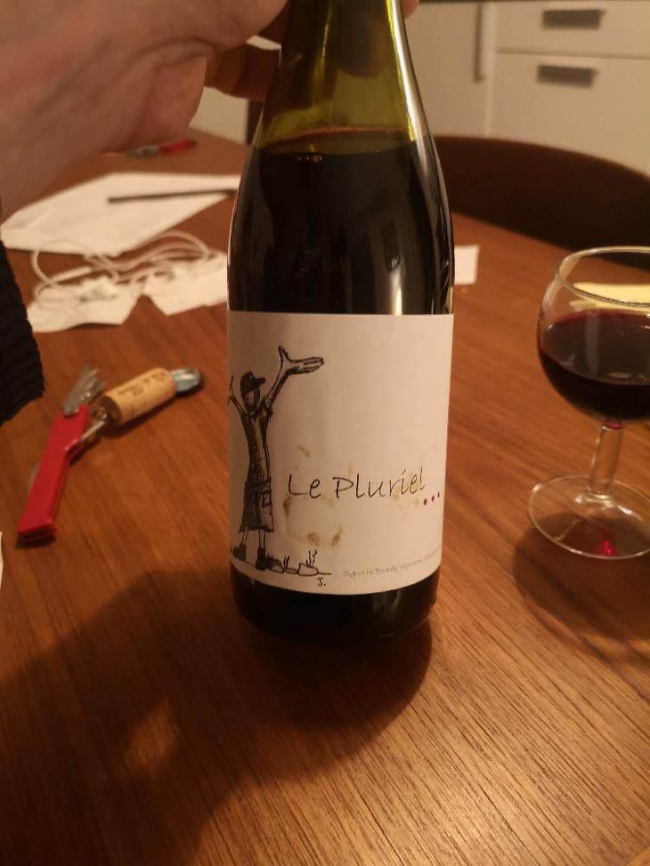 Le Pluriel Rouge - Clos Des Boutes - Sylvain Boutée 