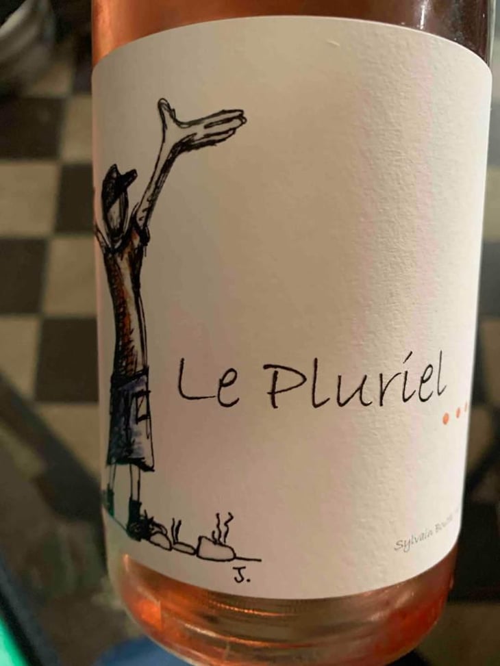 Le Pluriel Rouge - Clos Des Boutes - Sylvain Boutée 